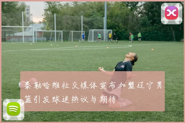 泰勒哈维社交媒体宣布加盟辽宁男篮引发球迷热议与期待